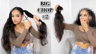 Big Chop 2022 | I Cut 21 Inches Of Hair!