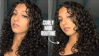 My Curly Hair Routine 2022 | In Depth Tutorial For Beginners