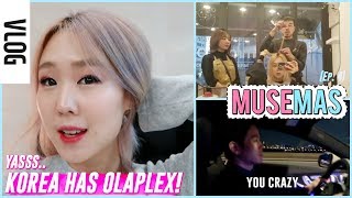 The Korean Salon I Go To Bleach & Olaplex My Hair (+ Update) Olrapeulregseu Sayonghaneun Miyongsil!