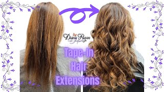  Tape-In Hair Extensions | Pagans Beauty