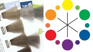 Color Correct Hair Using Redken Shades Eq | How To Fix Hair Color |  Daniella Benita