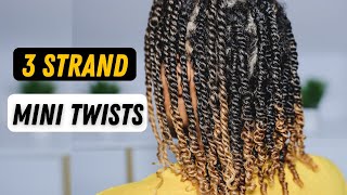 How To | 3 Strand Mini Twists | Protective Style For Natural Hair