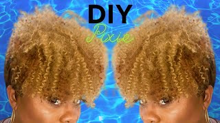 Stop Buying Wigs And Do It Yourself||Natural Pixie Cut Wig ||No Leave Out