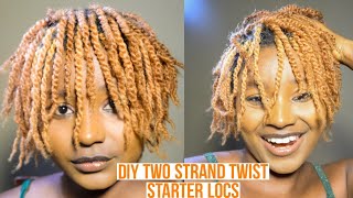 Two Strand Twist-Diy Starter Locs How To Do It Yourself