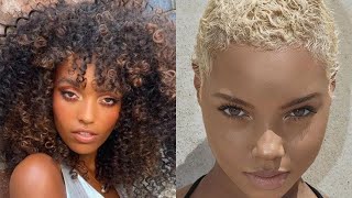 What'S Hot In Black Hair Color Trends For Fall 2022? #Blackhairstyles #Naturalhair #Shorts