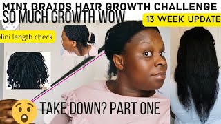 13 Weeks Natural Hair Growth Mini Braids Challenge