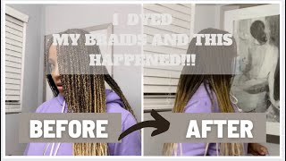 I Dyed My Braids And This Happened!!!