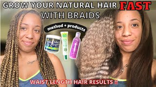 How To Grow Natural Hair Fast With Braids: Sharing My Method + Products For Waist Length Hair Growth