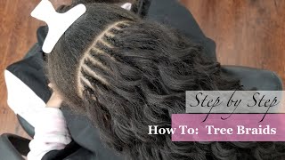 How To: Tree Braids | Step By Step | Very Detailed