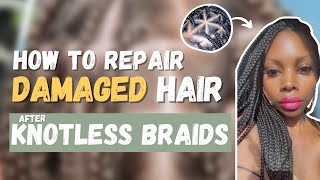 How To Repair Weak & Damaged Hair After Knotless Braids!