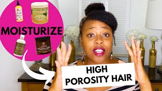 High Porosity Hair Care Products| How To Moisturize Dry High Porosity Natural Hair| Tip Tuesday