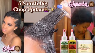 How I Grew My Short 4C Hair In 5 Months ?! | Post Big Chop