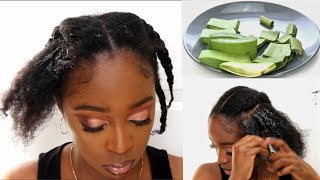 Aloe Vera Treatment For Hair-Loss & Hair Growth | Curls On 4C Hair !?