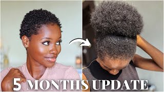 We Have A Puff In 5 Months | 4C Natural Hair Update Since Failed Silk Press, Different Curl Pattern