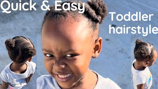 Quick & Easy Toddler Hairstyle