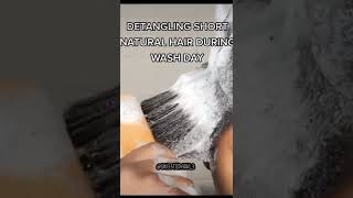 Detangling Short Natural 4C Hair During Wash Day #Shorts #Youtubeshorts