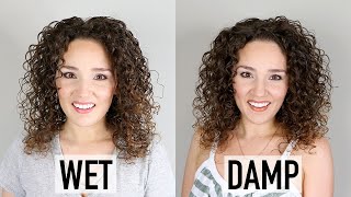 Wet Styling Vs. Damp Styling Curly Hair Compared