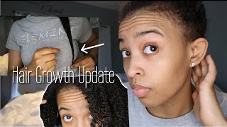 Hair Growth Update | Fenugreek, Aloe Vera , Msm Powder , Protective Styling , Jamaican Black Castor