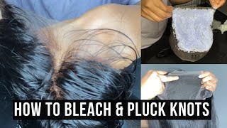 How To Bleach Knots On Lace Front Wig | How To Pluck A Closure | 6 X 6 Closure Wig | Wig Tutorial