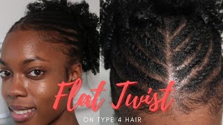 Flat Twist Updo Hairstyle For Natural Hair | 4B/4C