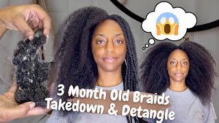 Why Braids Do Not Grow Hair And You Are Not Seeing Progress | 3 Month Old Braids Takedown & Detangle