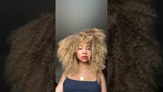 Annivia Blonde Brown Color Hair Afro Kinky Curly Synthetic Wig With Bangs Amazon  Aliexpress  Vendor