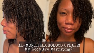 11-Month Microlocs Update | Microlocs Journey | Fine Hair | Two Strand Twists