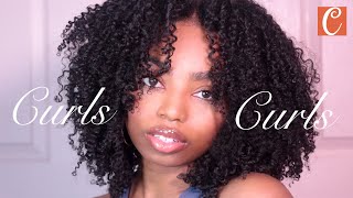 Most Realistic Beginner Friendly Lace Closure Curly Wig | Unboxing And Review | Curls Curls