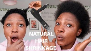 How To Blow Dry Short Natural Shrinking 4C Hair No Damage / Six Months Hair Growth