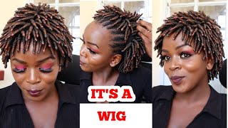 Most Affordable Braided  Wigs.Beginner Friendly Wig Install+Wig Review.