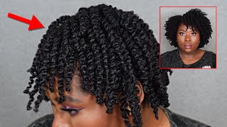 The Ultimate Definition For Kinky 4C Hair Styles - Full Wash Day