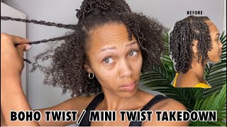 20 Minute Boho / Mini Twist Takedown + Twist Out Results