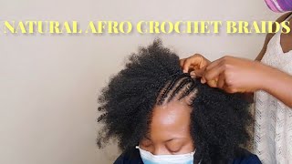 How To Crochet Afro Kinky Hair 1B/27|Afro Nala Tress Crochet Braids|Faux Afro Crochet|Invisible Part