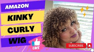 Cheap Amazon Kinky Curly Synthetic Wig Review!!!
