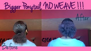 How To Get A Bigger Ponytail On Natural Hair (No Weave)