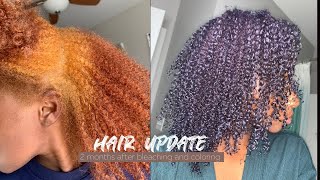 Hair Update | Hair Breakage? Color Maintenance & More