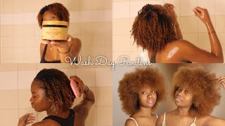 Natural Hair Maintenance: Wash Day + Blow Dry Routine | Knotless Take Down