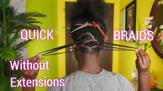 How To Quick Braids Without Extensions On Natural Hair Beaded Hairstyle