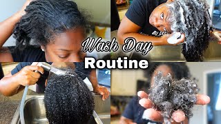 Full Wash Day Routine | Hair Maintenance After 1 Month Ponytail | Alipearl Hair