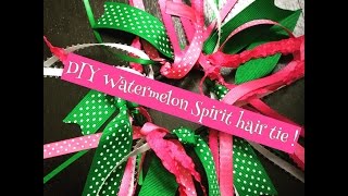 Watermelon Spirit Hair Tie!!