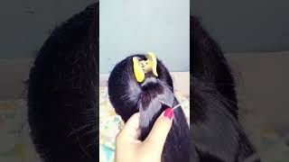 #Shorts Very Simple Hairstyle With Clutcher#Hair #Simple #Youtubeshorts