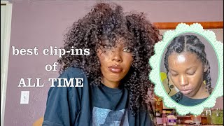 Best Clip-Ins Of All Time (8 Month Update) 3B/3C Hair | Curlscurls