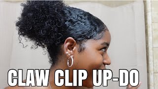 Claw Clip Up-Do On Natural Hair