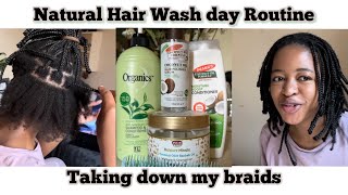 Braids Take Down, Lazy Natural Hair Wash Day Routine 2022, From Start To Finish| 4C  Natural Hair