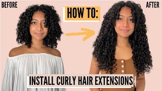 How To Install Bebonia Clip-In Hair Extensions | Curly Hair Transformation