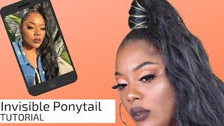 Invisible Ponytail | Organique Body Wavy Mastermix | Hair Styles Under $30