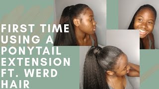 First Time Using A Ponytail Extension || Special Guest || Ft. Werd Hair