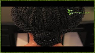 Natural Hairstyle ~ Twist Updo Protective Style | Natural Hair