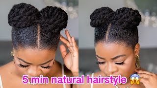5 Min Hairstyle  Quick And Easy Twisted Bun Updo || Natural Hair