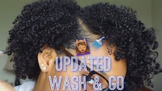 The Best Wash & Go Ever!! | How To Define 3B/3C Curls | Flawhs